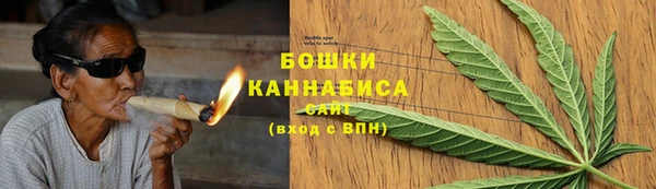хмурый Ладушкин