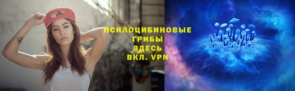хмурый Ладушкин