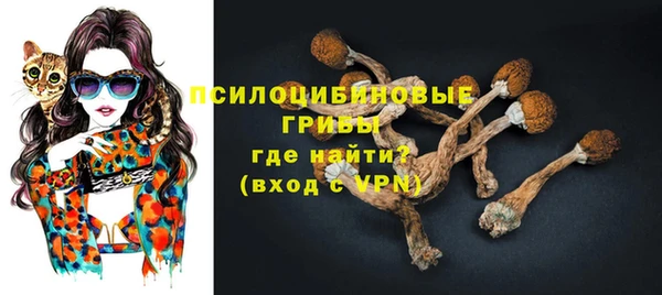 бутират Кизел