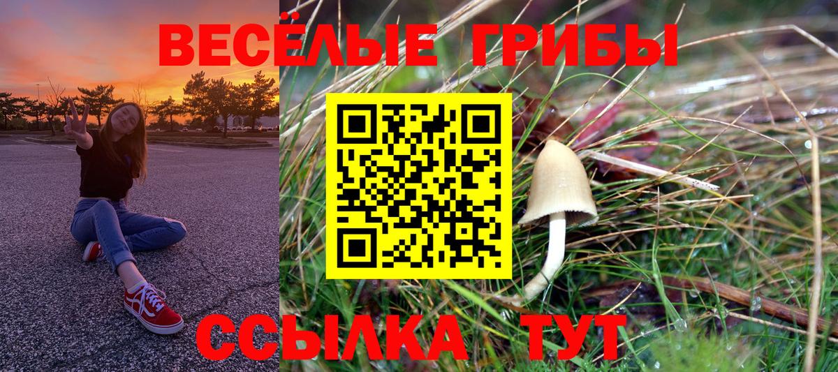 Псилоцибиновые грибы Magic Shrooms Мариинск