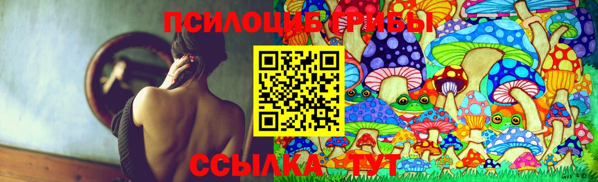 Мариинск  где купить наркотик  Псилоцибиновые грибы мицелий  Вход с VPN  Галлюциногенные грибы GOLDEN TEACHER 